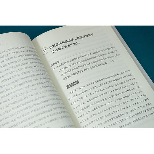 案解劳动争议实务及风险防范 李天姣编著 法律出版社 商品图5
