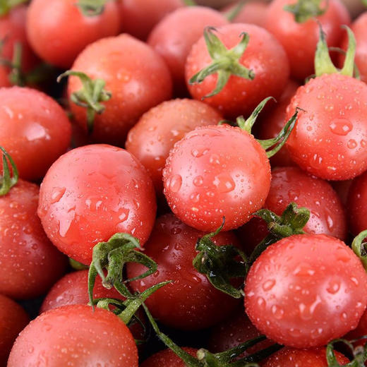 【分仓直发包邮】海南陵水千禧圣女果精品固定120粒（约3.3斤） 商品图3