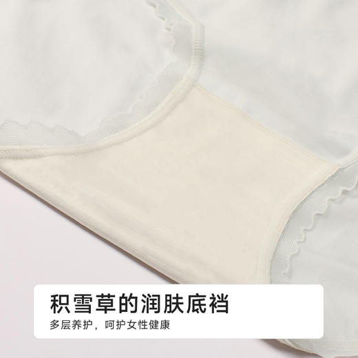 都市丽人纯棉系列100支棉舒肤棉双百系列平角裤LKH5J7 商品图7