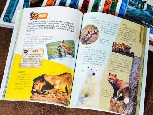 国家地理探索百科全书（全12册）| 带孩子探索宇宙到人类的所有奥秘，故事般趣味科普，1000+高清大图，拓宽眼界和认知 商品图7