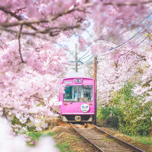 日本| 关西静谧樱境·6天5晚 商品图2