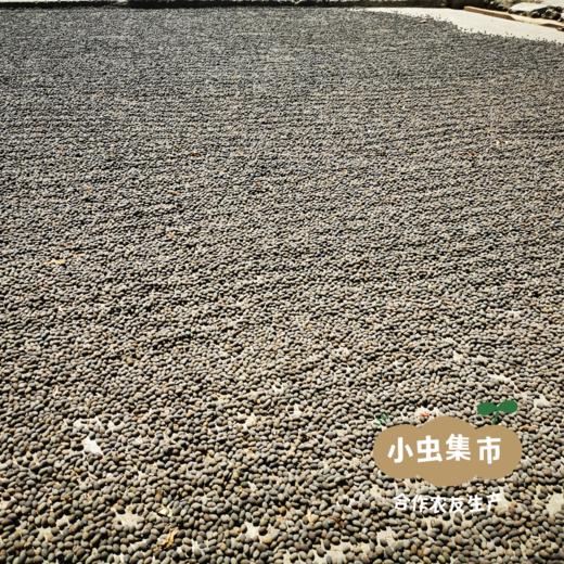 野生有机红莲子 300g/罐 | 合作农友生产，产自湖南岳阳君山，生产者：慧耕 &【公平贸易农人定价】 商品图13