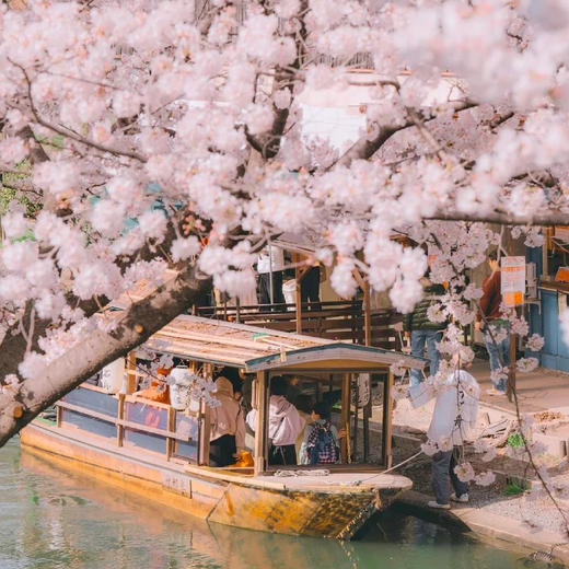 日本| 关西静谧樱境·6天5晚 商品图8