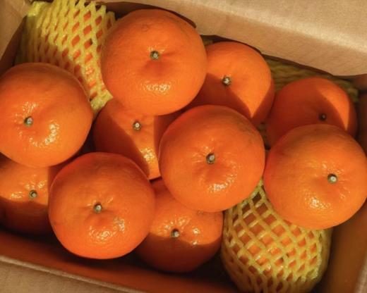 广西武鸣沃柑【2500g】【店面团购活动】 商品图0