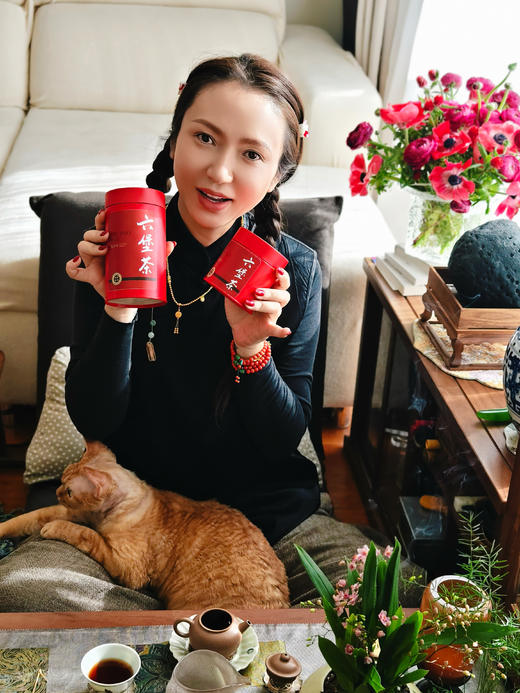 如「月」之恒，如「日」之升  老六堡茶 商品图1