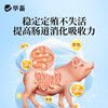 【社群专享】华畜酵皇1kg提高免疫力提高肠道消化 商品缩略图4