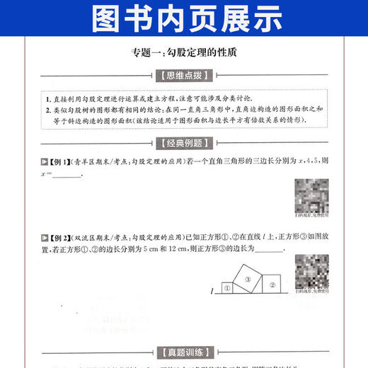 2025重难点专题突破七八九年级上册数学北师大版物理教科版 初中名校题库初一二三练习册 商品图2