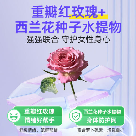 采宁丹蒲浦结通清乳安玉公松止包力干古正舒辛西旗舰店片双英康益 商品图3