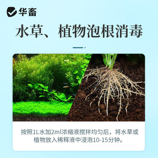 高锰酸钾鱼用消毒液鱼缸消菌药净水剂植物乌龟养殖场高猛酸钾溶液 商品图5