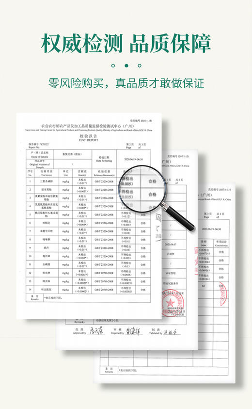 象窝茶2026年新茶春茶高山有机红茶新品云山红茶花香【限时限量买1送1】到手2罐共250g 商品图10