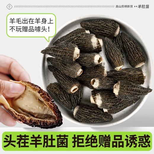 【春夏季滋补】在菌屋 云南高山短柄羊肚菌干货50g/袋 4-6cm/6-8cm/8-12cm 菌香馥郁浓厚 菌身脉络清晰 口感爽滑脆嫩 商品图6
