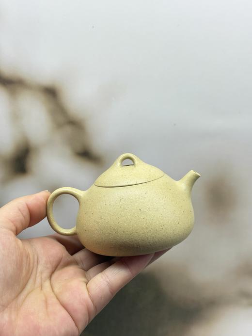 范亚平|本山段泥乳瓢壶紫砂壶 约130ml 商品图1