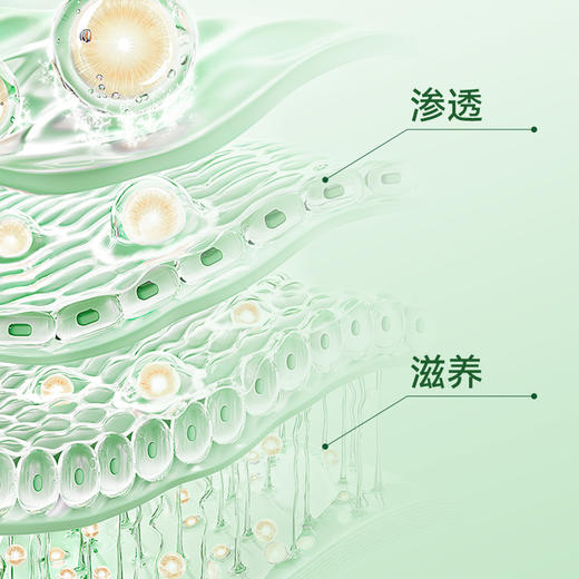 玉仰堂舒节片三舒平古正和三舒平YYT舒节片植物萃取科学配比 商品图4