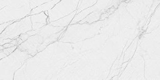 CAT-C12630-H 600*1200mm 哑面白色系石纹模具面瓷砖 商品图0