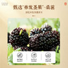 颜亭梦五黑生丝膏茶黑枸杞黑桑葚椹黑芝麻黑米生内调乌密养发 商品缩略图3