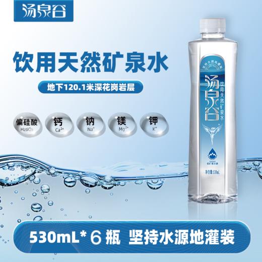 汤泉谷饮用天然矿泉水—VIP530ml*6瓶/包 商品图1