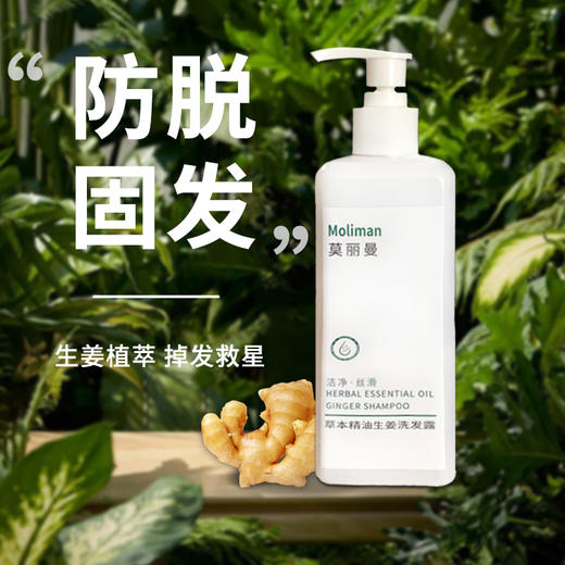 莫丽曼洗发水【官方正品】生姜草本精油洗发露洗头膏 商品图1
