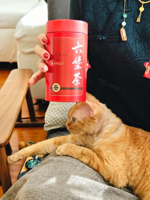 如「月」之恒，如「日」之升  老六堡茶 商品图3