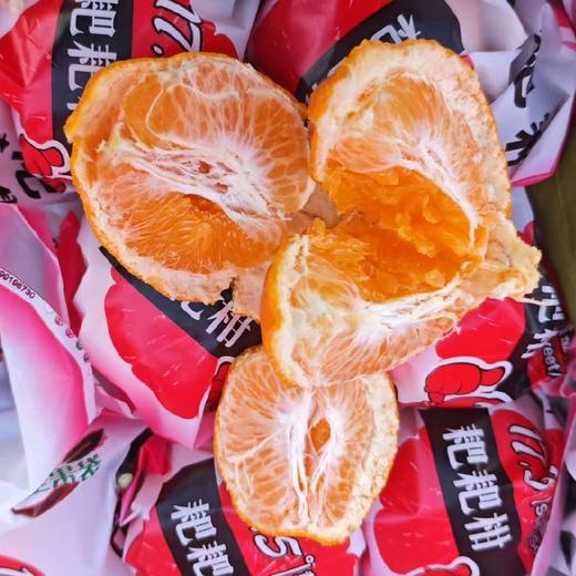 丰收果园～耙耙柑【净重约8斤】 商品图2