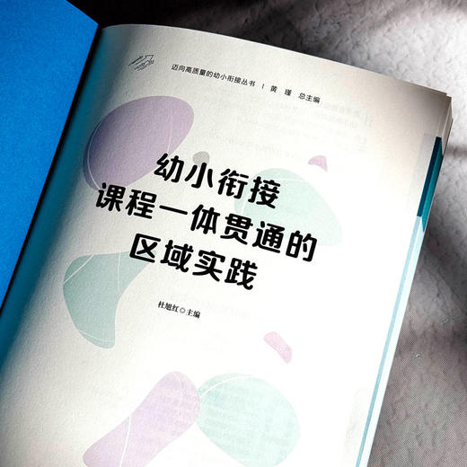 幼小衔接课程一体贯通的区域实践 迈向高质量的幼小衔接丛书  商品图5