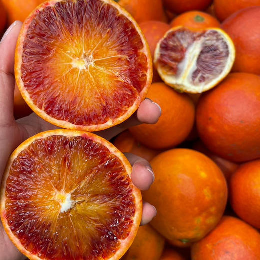 寿岛生态玫瑰香血橙 商品图0