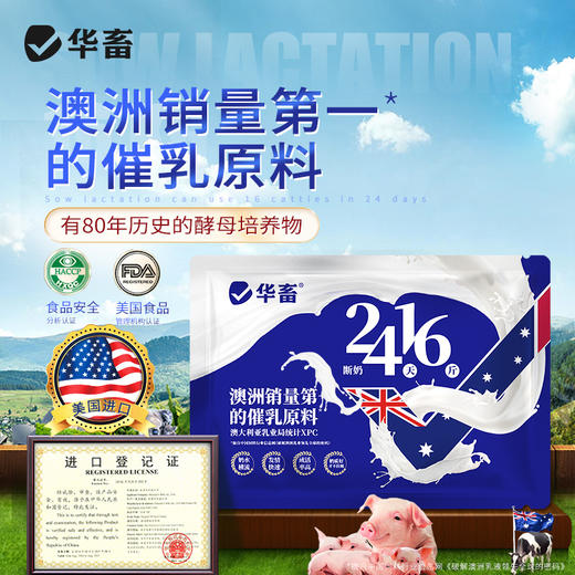 华畜24天16斤 澳洲第一催乳原料 奶水横流发情快 催乳奶粉母猪母牛羊均可使用 商品图0