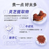 酸芝益力采宁维改善睡c眠胶囊免疫球蛋白旗舰枣仁片褪退助黑素瓶 商品缩略图4