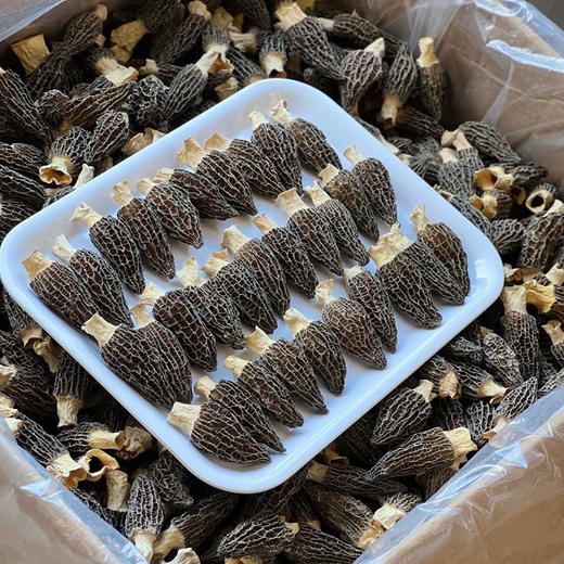 【春夏季滋补】在菌屋 云南高山短柄羊肚菌干货50g/袋 4-6cm/6-8cm/8-12cm 菌香馥郁浓厚 菌身脉络清晰 口感爽滑脆嫩 商品图14