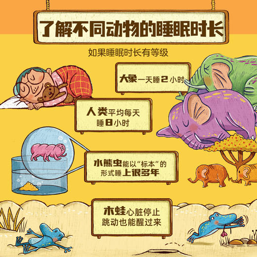 贪睡的脑袋  穿越11个栖息地 揭秘动物的43种睡眠方式 商品图4
