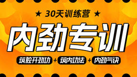 【内劲专训】课程＋30天训练营