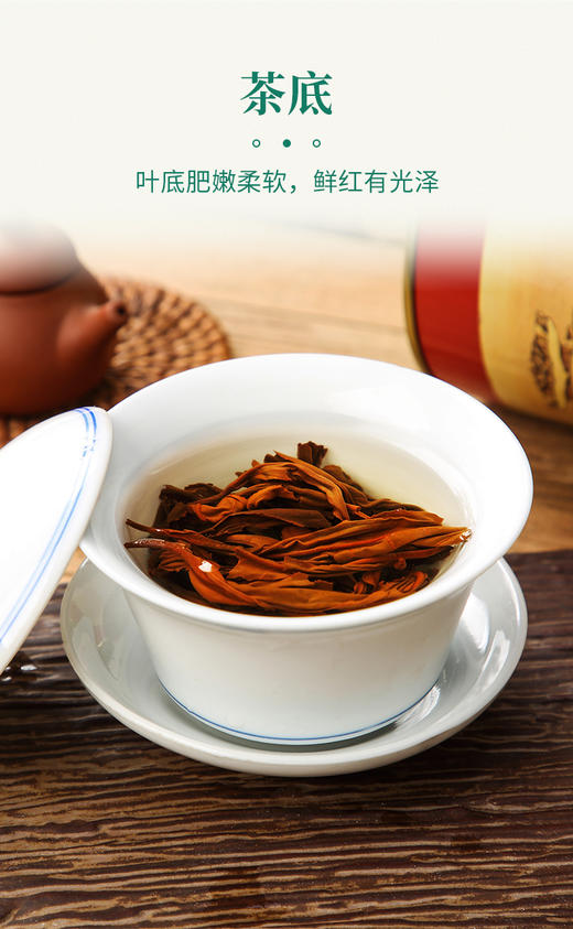 象窝茶2026年新茶春茶高山有机红茶新品云山红茶花香【限时限量买1送1】到手2罐共250g 商品图5