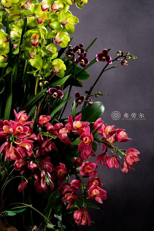 致富蛇盘玉 商品图1