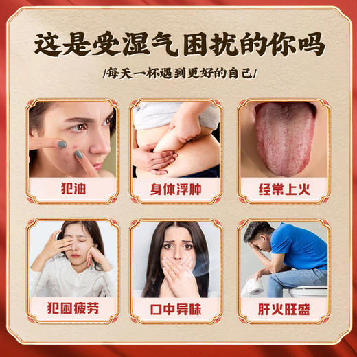 冬序知月春别山四月春雨琴晓月春金川合人金川慧人金川伊人 商品图2