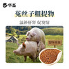 华畜促情雌诱素100g 促排卵 发情快 商品缩略图2