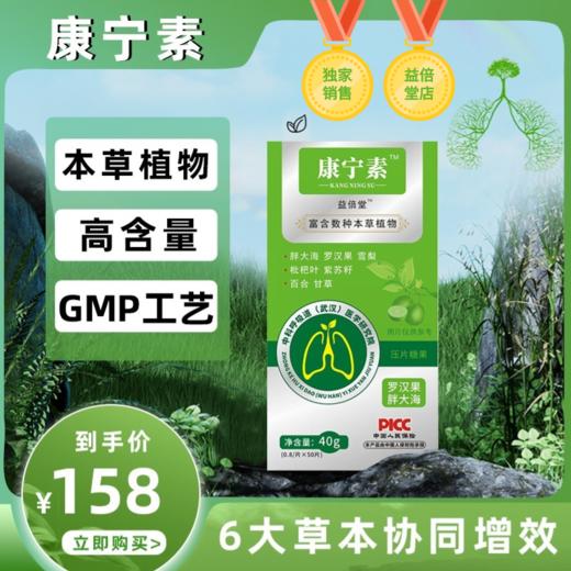 康宁素益倍堂胖大海罗汉果本草植物紫苏籽甘草薄荷康素宁康宁 商品图0