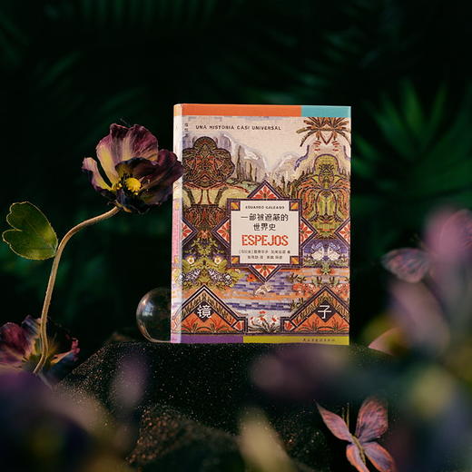 镜子：一部被遮蔽的世界史 商品图3