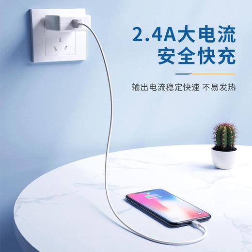 PHILIPS/飞利浦 SWR1101/93 苹果数据线 MFI苹果认证 USB-A转Lightning 充电线 商品图1