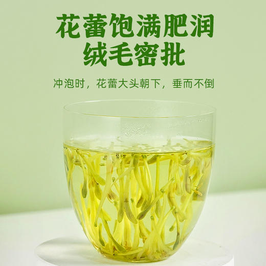态度茶农金银花85克 商品图4
