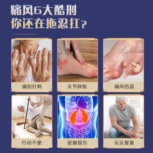 四逆风消汤 痛风关节红肿疼痛灼热僵硬排酸溶石除晶尿酸高 商品图2
