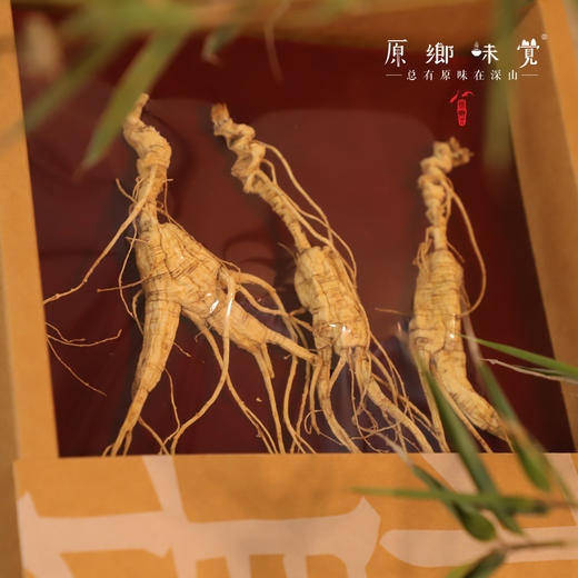 林下野山干参/干人参（成都仓库-顺丰快递）｜多种规格，来自通化集安，生产者：刘春显 商品图3