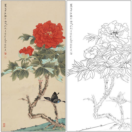 俞致贞花鸟牡丹工笔画白描底稿《牡丹飞蝶》临摹勾线高清打印稿ZZ42 商品图0