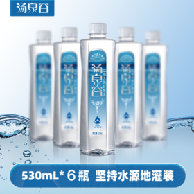 汤泉谷饮用天然矿泉水—VIP530ml*6瓶/包