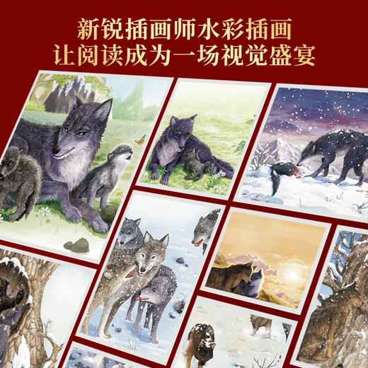 【青葫芦】狼王梦：立体美绘版（套装共2册） 商品图4