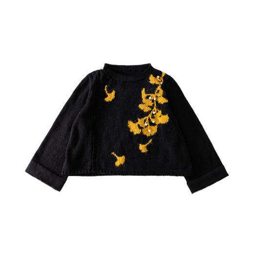 苏苏姐家银杏嵌花外套手工DIY钩针棒针羊毛线衣服上衣毛线材料包 商品图4