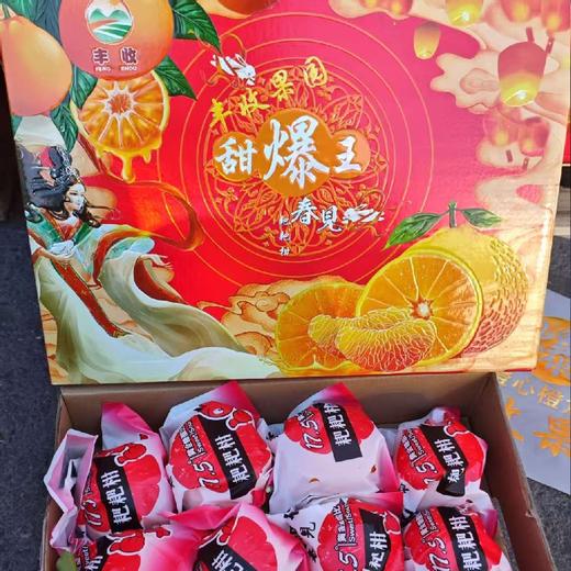 丰收果园～耙耙柑【净重约8斤】 商品图0
