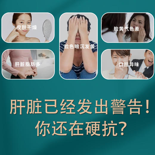 【柯林康纳】 惠珍堂  正品  天然玉米低聚肽 可珂琳康纳 商品图2