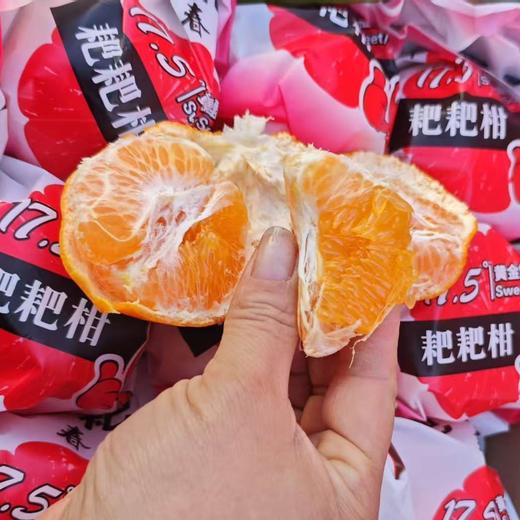 丰收果园～耙耙柑【净重约8斤】 商品图1