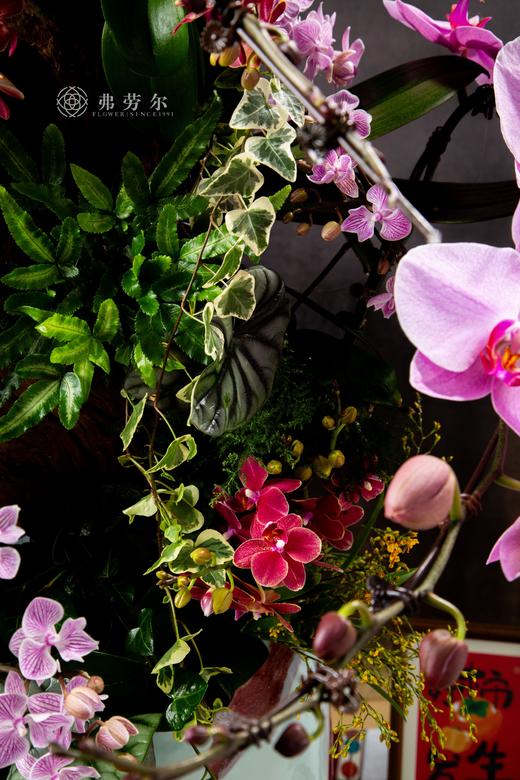 花飞蛇舞 商品图7