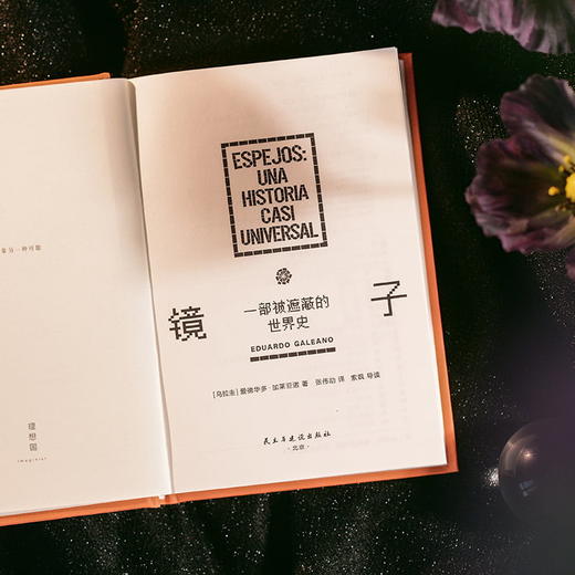 镜子：一部被遮蔽的世界史 商品图10