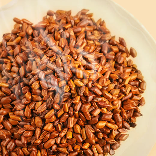 态度茶农炒制决明子500克 商品图3